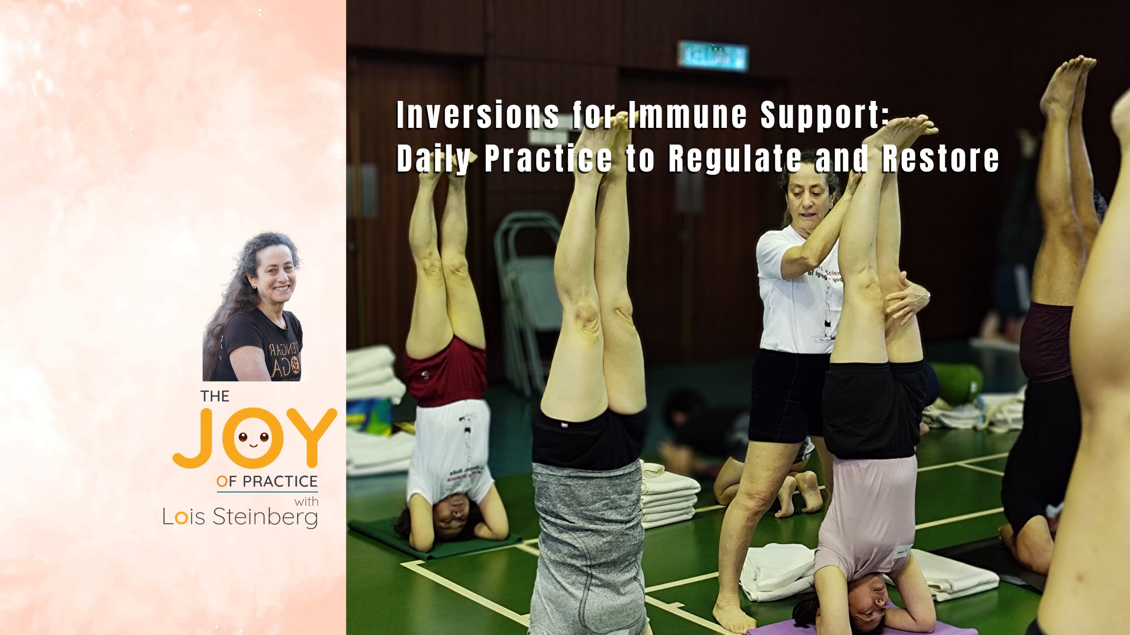 Joy of Practice WS Session 12