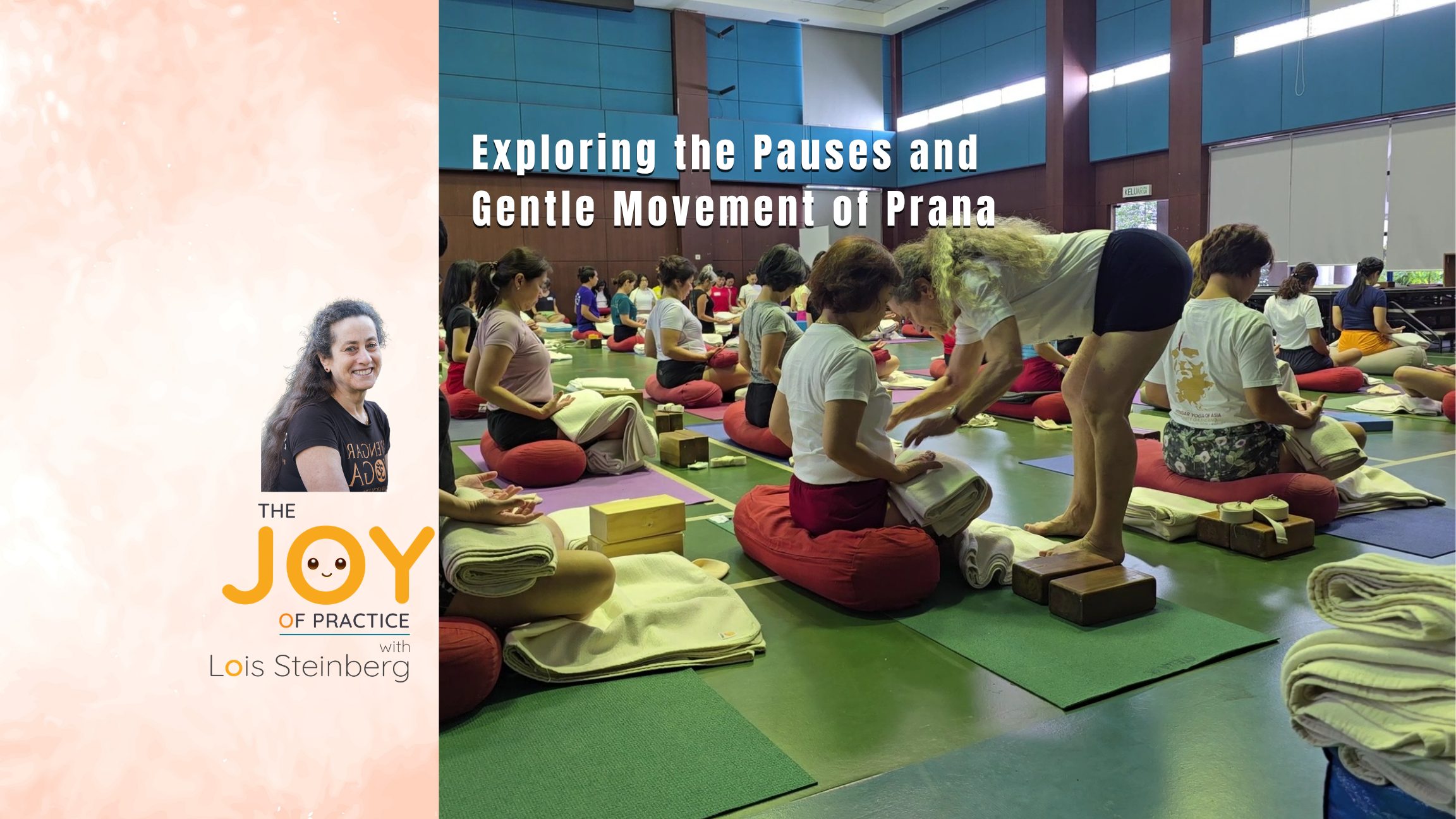 Joy of Practice WS Session 7