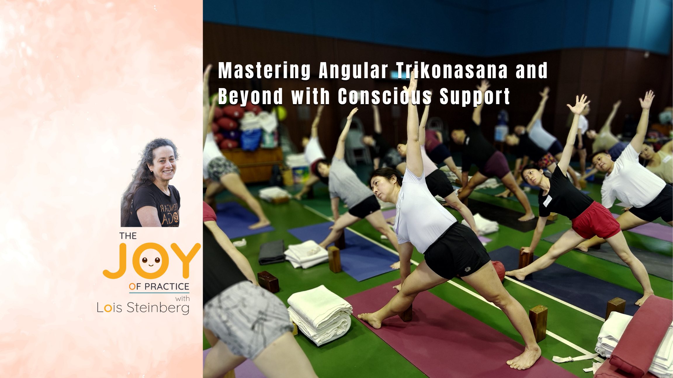 Joy of Practice WS Session 9