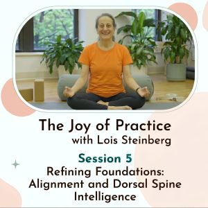 05: Refining Foundations – Dorsal Spine Intelligence