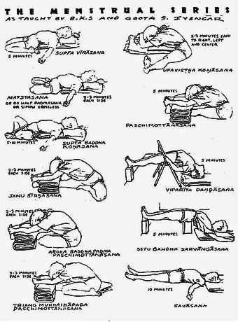 Menstrual Sequence